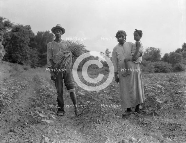A Mississippi Negro family who live on a cotton patch near Vicksburg, 1936. Creator: Dorothea Lange.