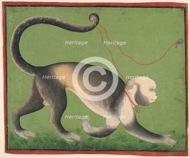 A Monumental Portrait of a Monkey, c. 1705-1710. Creator: Unknown.
