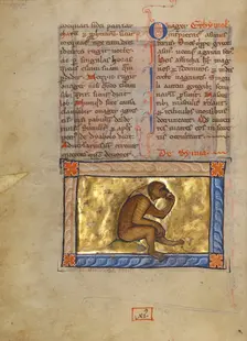 A Monkey; Bestiary, about 1270. Creator: Unknown