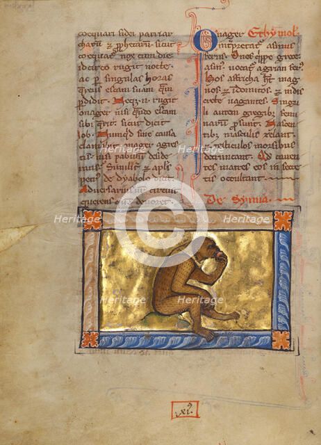 A Monkey; Bestiary, about 1270. Creator: Unknown.