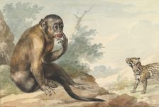 A Monkey Sitting on a Rock Looking at a Civet, 1764. Creator: Aert Schouman