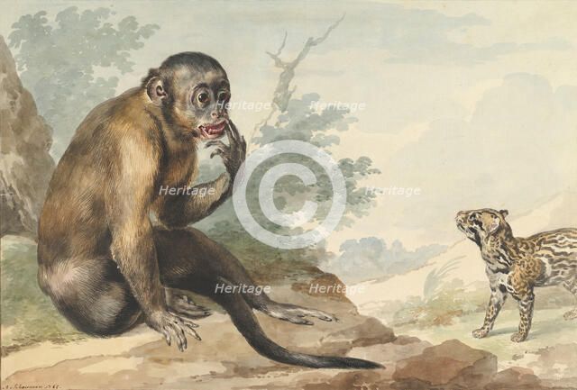 A Monkey Sitting on a Rock Looking at a Civet, 1764. Creator: Aert Schouman.