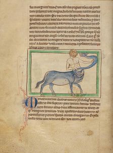 A Monocentaurus; Northumberland Bestiary, about 1250-1260. Creator: Unknown
