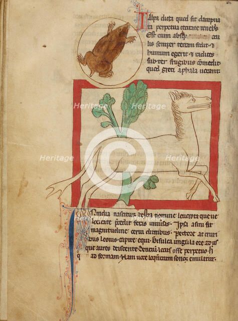 A Mole; A Leucrota; Northumberland Bestiary, about 1250-1260. Creator: Unknown.