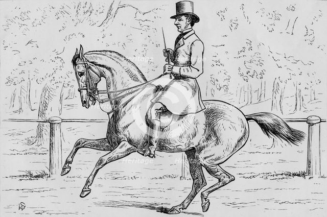 'A Morning Canter in the Park', 1881.  Creator: Samuel Sidney.