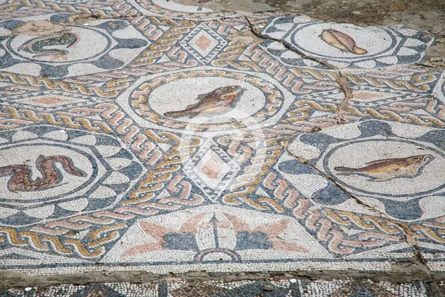 A mosaic floor in the House of the Amphitheatre, Merida, Spain, 2007. Creator: Samuel Magal.
