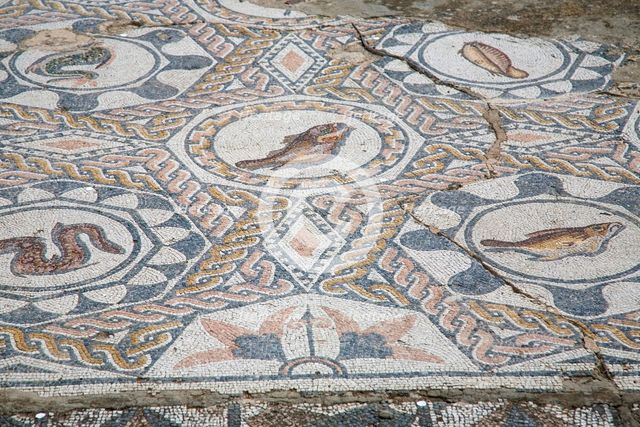 A mosaic floor in the House of the Amphitheatre, Merida, Spain, 2007. Creator: Samuel Magal.