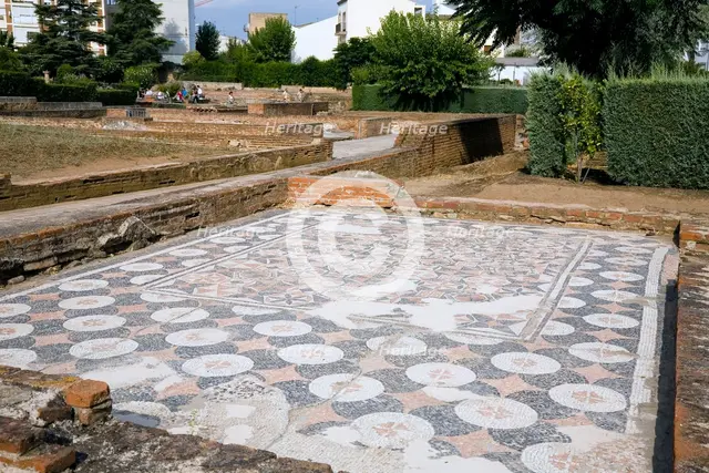 A mosaic floor in the House of the Amphitheatre, Merida, Spain, 2007. Creator: Samuel Magal.