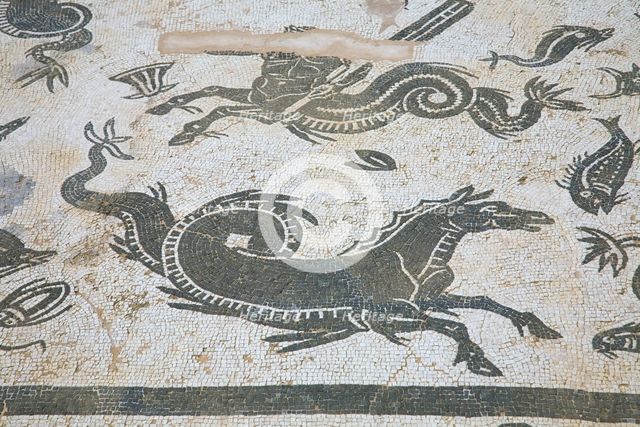 A mosaic in House 1, Italica, Spain, 2007. Creator: Samuel Magal.