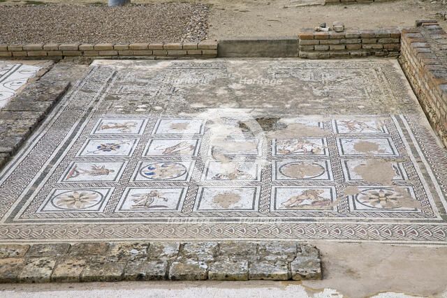 A mosaic in House 2, Italica, Spain, 2007. Artist: Samuel Magal