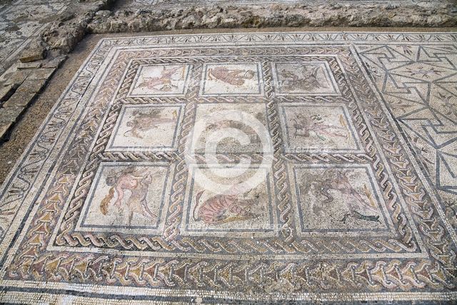 A mosaic in House 3, Italica, Spain, 2007. Creator: Samuel Magal.
