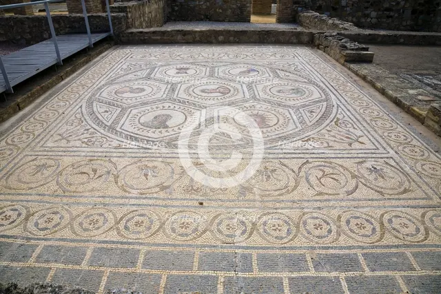 A mosaic in House 3, Italica, Spain, 2007. Creator: Samuel Magal.