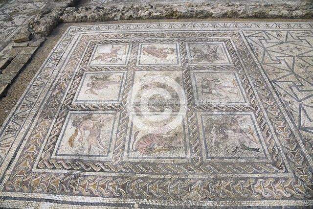 A mosaic in House 3, Italica, Spain, 2007. Artist: Samuel Magal