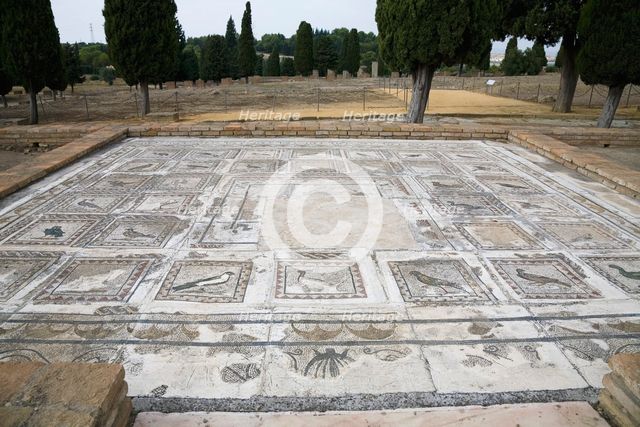 A mosaic in House 4, Italica, Spain, 2007. Creator: Samuel Magal.