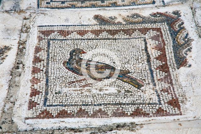 A mosaic in House 4, Italica, Spain, 2007. Creator: Samuel Magal.