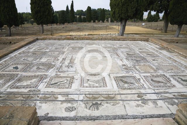 A mosaic in House 4, Italica, Spain, 2007. Artist: Samuel Magal