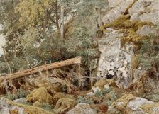 A mossy rock in the forest, 1857. Creator: Werner Holmberg