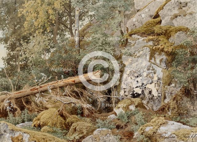 A mossy rock in the forest, 1857. Creator: Werner Holmberg.