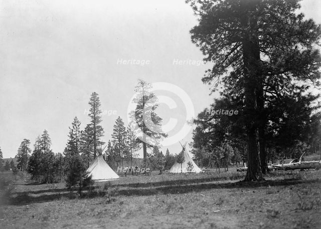 A mountain camp-Yakima, c1910. Creator: Edward Sheriff Curtis.
