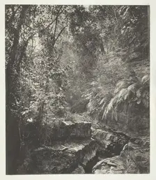 A Mountain Pass in Formosa, c. 1868. Creator: John Thomson