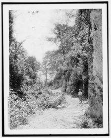 A mountain road, Sapphire, N.C., (1902?). Creator: William H. Jackson