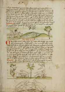 A Mouse in a Wagon and a Frog Scrambling Up Steps: A Dog and..., third quarter of 15th century. Creator: Unknown