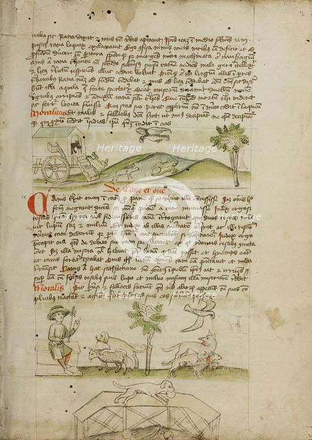 A Mouse in a Wagon and a Frog Scrambling Up Steps: A Dog and..., third quarter of 15th century. Creator: Unknown.
