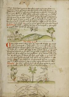 A Mouse in a Wagon and a Frog Scrambling Up Steps: A Dog and..., third quarter of 15th century. Creator: Unknown