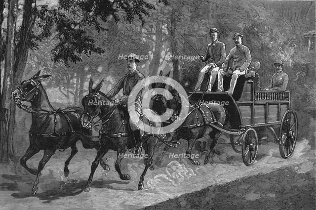 'A Mule four-in-hand in Burma', 1886.   Creator: Unknown.