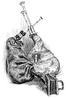 A musette and a cornemuse, 1901