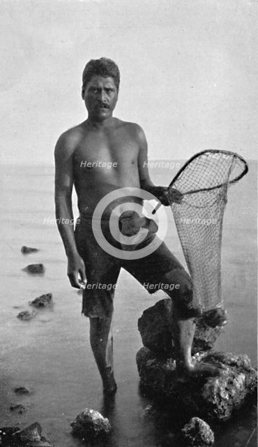 A native shrimper, Hawaii, with his net, 1902. Artist: Unknown.