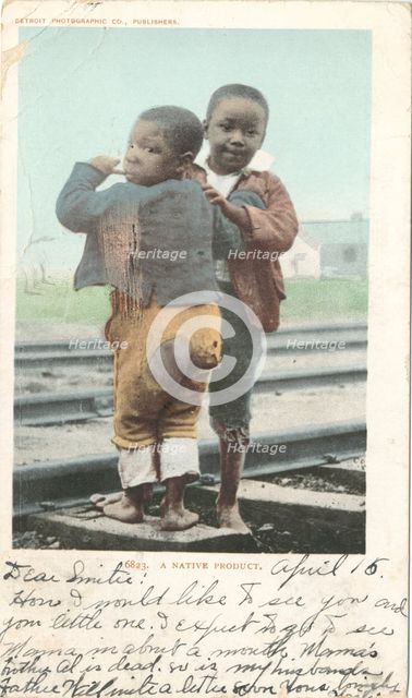 A Native Product, 1902 - 1903. Creator: Detroit Publishing Company.
