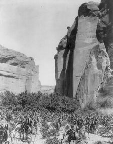 A Navaho farm, c1906. Creator: Edward Sheriff Curtis