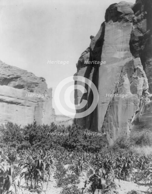A Navaho farm, c1906. Creator: Edward Sheriff Curtis.