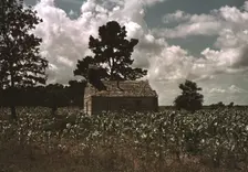 A Negro church in a corn field, Manning, S.C., 1939. Creator: Marion Post Wolcott
