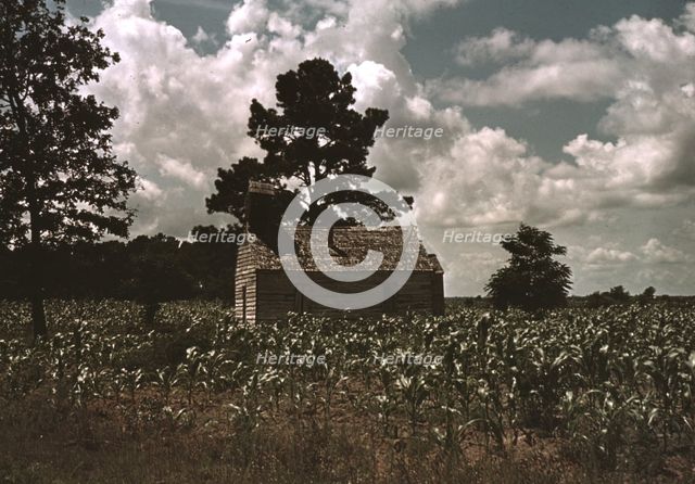 A Negro church in a corn field, Manning, S.C., 1939. Creator: Marion Post Wolcott.