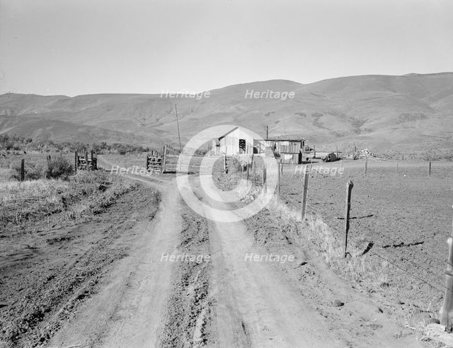 A new house for descendant of old Idaho...Ola self-help sawmill co-op, Gem County, Idaho, 1939. Creator: Dorothea Lange.