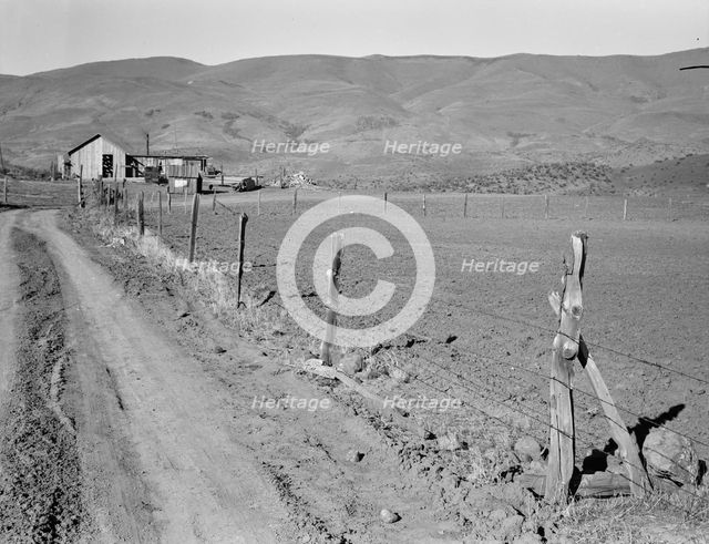 A new house for descendant of old Idaho family..., Gem County, Idaho, 1939. Creator: Dorothea Lange.