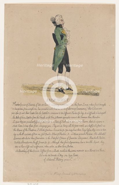 A New Insect, May 12, 1784., May 12, 1784. Creator: Thomas Rowlandson.