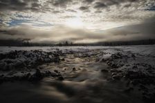 A New Year. Creator: Joshua Johnston