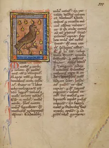 A Night Heron; Bestiary, about 1270. Creator: Unknown