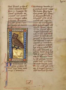A Night Heron; Bestiary, about 1270. Creator: Unknown