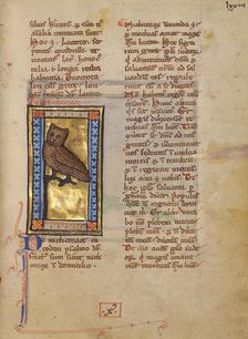 A Night Heron; Bestiary, about 1270. Creator: Unknown