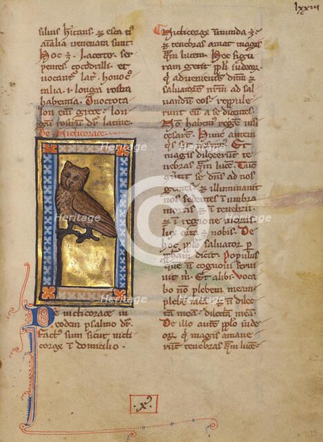 A Night Heron; Bestiary, about 1270. Creator: Unknown.