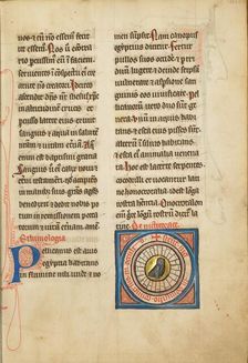 A Night Heron; De Natura Avium; De Pastoribus et Ovibus; Bestiarium, 1277 or after. Creator: Unknown