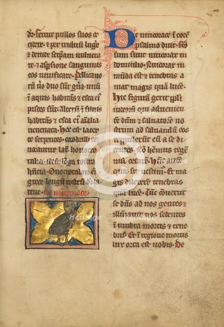A Night Heron; De Natura Avium; De Pastoribus et Ovibus; Bestiarium, 1277 or after. Creator: Unknown.