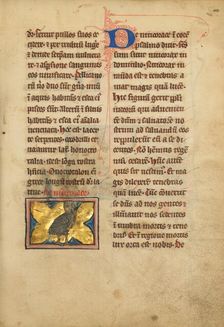 A Night Heron; De Natura Avium; De Pastoribus et Ovibus; Bestiarium, 1277 or after. Creator: Unknown