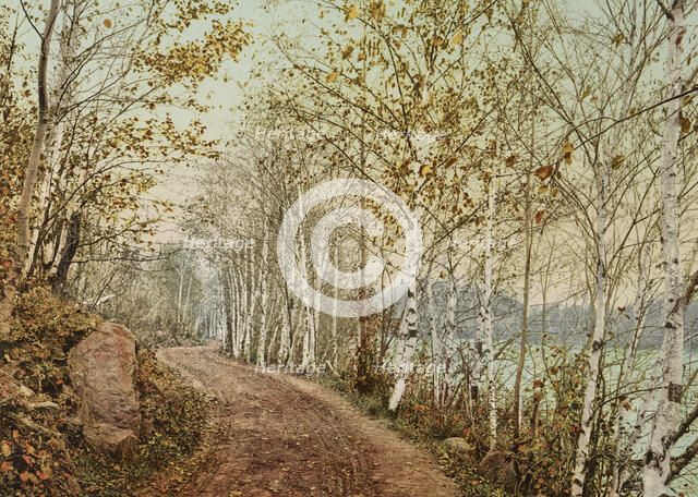 A Northern autumn, c1898. Creator: Unknown.