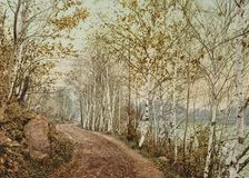 A Northern autumn, c1898. Creator: Unknown