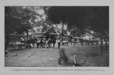 A number of Martin Ferguson's delivery wagons and horses, Jacksonville, Fla., 1902. Creator: Unknown
